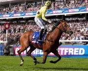 Bow Echo Retires: Unbeaten Miler's Career Cut Short by Injury
