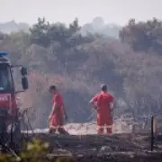 Boy, 12, Caught on Camera Starting Four Fires in Leeds Park