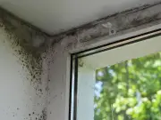 Brent Council pledges 15-day damp and mould fix under Awaab's Law