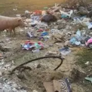 Career criminal avoids jail for industrial-scale fly-tipping in Kent