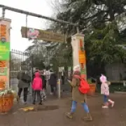 Chessington World of Adventures closed due to water outage