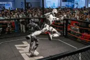 China's World Robot Conference 2026: 3,000 products, robot MMA, and more