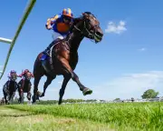 Constitution River Faces Ombudsman in International Stakes at York