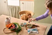 Dog Food Subscription Discounts and Rewards Explained