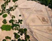 England's Climate Shift Demands New Planting Strategies