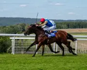 Evening Saigon wins Stewards' Cup as Jim Crowley retires