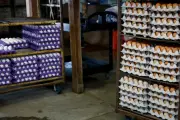 FDA elevates salmonella egg recall to highest risk level