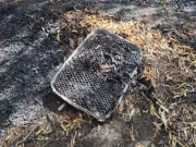 Firefighters tackle Mitcham grass fire as PM weighs BBQ ban
