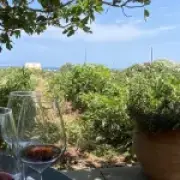 Gaia Winery Santorini: Why This Vineyard Stands Out Among 100+ Visits