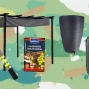 Garden Upgrades to Help Your Outdoor Space Survive Summer Heatwaves
