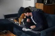 Gene-edited beagles offer hope for dog allergy sufferers