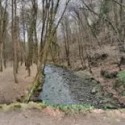 Girl, 11, found dead in river at Gore Glen park after search