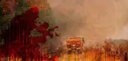 Gironde wildfire: centuries of land use and climate change fuel record blaze