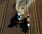 Global Food Prices Hit 3.5-Year High on Heatwaves and Conflicts