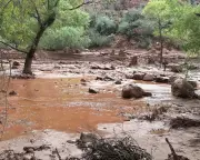 Grand Canyon braces for more storms after fatal flash flood