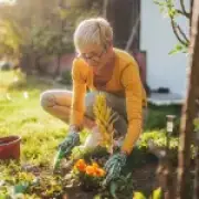 Heatwave Alert: How to Protect Your Garden from Wildfires