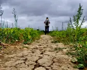 Heavy Rain Forecast Won't Reverse UK Drought, Experts Warn