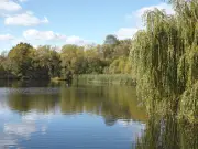 Hidden Lake Swim Near London: 6-Minute Train Ride