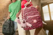 Kipling Launches Back to School 2026 Collection with New Styles