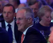 Labor's Centre Gamble: Lessons from Turnbull's Doomed PM