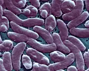 Louisiana warns beachgoers amid surge in flesh-eating bacteria infections