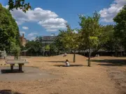 Man, 50, charged with arson after 10 fires in East London park