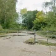 Man dies after 'out of control' dog bite in Wakefield