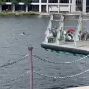 Man swims at dock where teen drowned days earlier