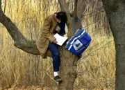 MFA Programs: Do They Breed Elitist Literature or Nurture Writers?