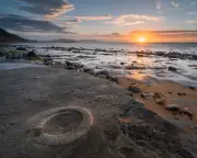 MP Urges Block on UK Fossil Exports to Protect Heritage