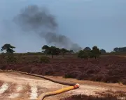 New Forest wildfire battle to last days as UK faces hottest summer