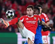 Newcastle sign Amar Dedic from Benfica in £35m deal