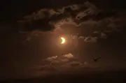 Next UK Solar Eclipses: Dates and Visibility Guide