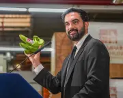 NYC Mayor Mamdani's City-Run Grocery Plan: Can It Deliver Cheap Food?
