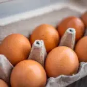 One dead, 207 ill in UK salmonella outbreak linked to imported eggs