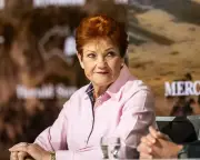 One Nation names investment banker Mike Newman as NSW leader