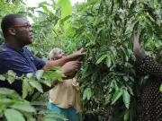 Orphaned at 12, he picked coffee to survive – now his firm feeds 2,000 kids