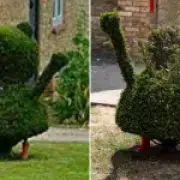 Peppa Pig Hedge Sculpture ‘Decapitated’ by Vandals in Oxfordshire, Police Investigate