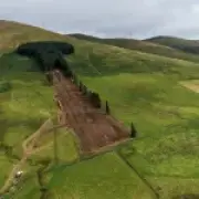 Phallic-Shaped ‘Penis Woods’ Felled Despite 2,700-Signature Petition
