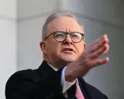 Pocock Calls Albanese's Gambling Ad Plan a 'Tragedy' as Pressure Mounts