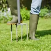 Prepare Your Garden for Rain After Drought: RHS Expert Tips