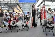 Robot Dalmatians and Far-Right Rally: Photos of the Day