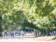 Royal Parks gardeners vote 95% for strike in pay dispute