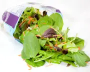 Salad Poisoning: US Cyclosporiasis Outbreak Linked to Imported Iceberg Lettuce