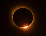 Solar Eclipse Unites Crowds in Awe: A Moment of Wonder