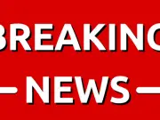 St Pancras Station Evacuated Over Unattended Vehicle