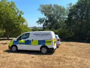 Teenagers arrested after rape in Alexandra Park
