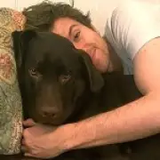 Thank You Greg James: Why Pet Loss Deserves Compassionate Leave