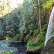 Tourist dies in 177ft waterfall fall while taking photo