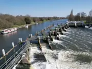 Toxic algae found at Thames' first official bathing spot in Ham and Kingston